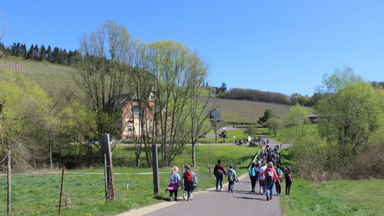 Schüler während dem Wandern 