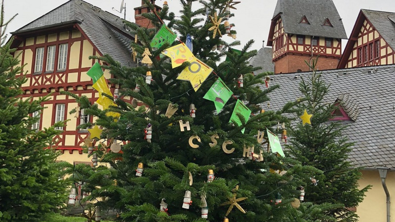 Weihnachtsbaum