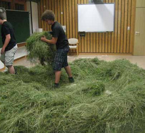 Gras im Klassenzimmer