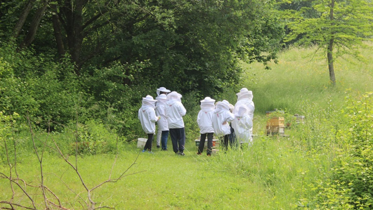 Mehrere Schüler in Imkeranzügen 