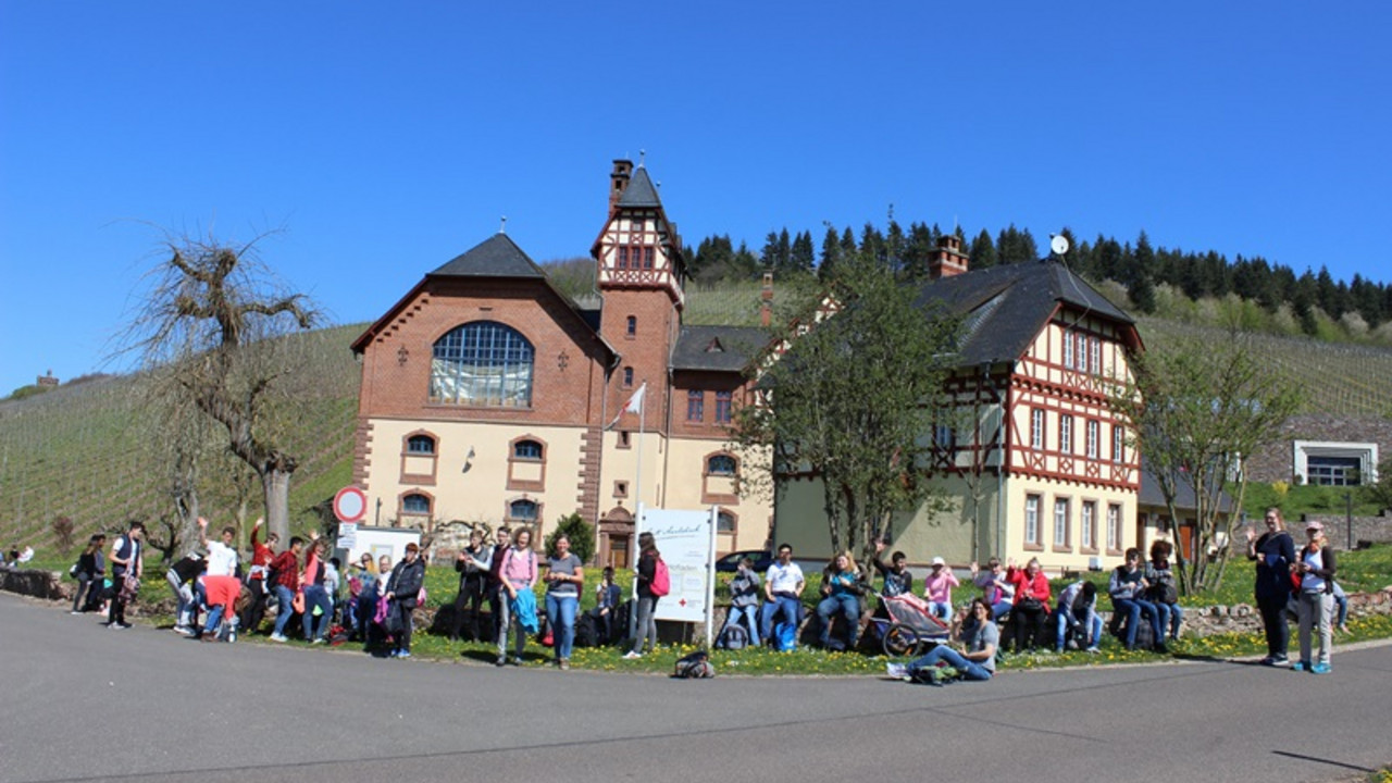 Gemeinsames Picknick mit Lunchpakten